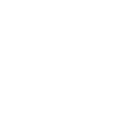 ADEMICON-1