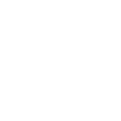 HONDA-1