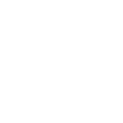 SAYEGI-1